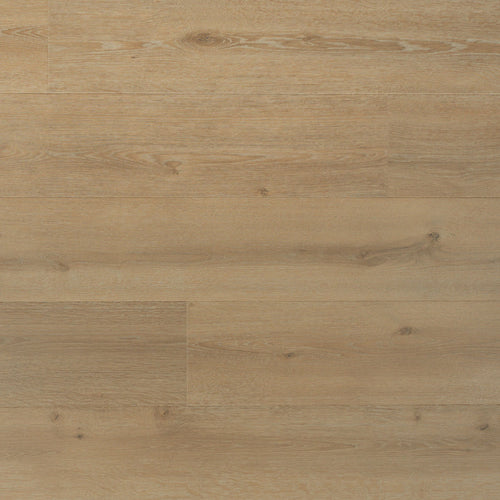 Laminaat Licht eiken Rechte plank Douwes Dekker laurier