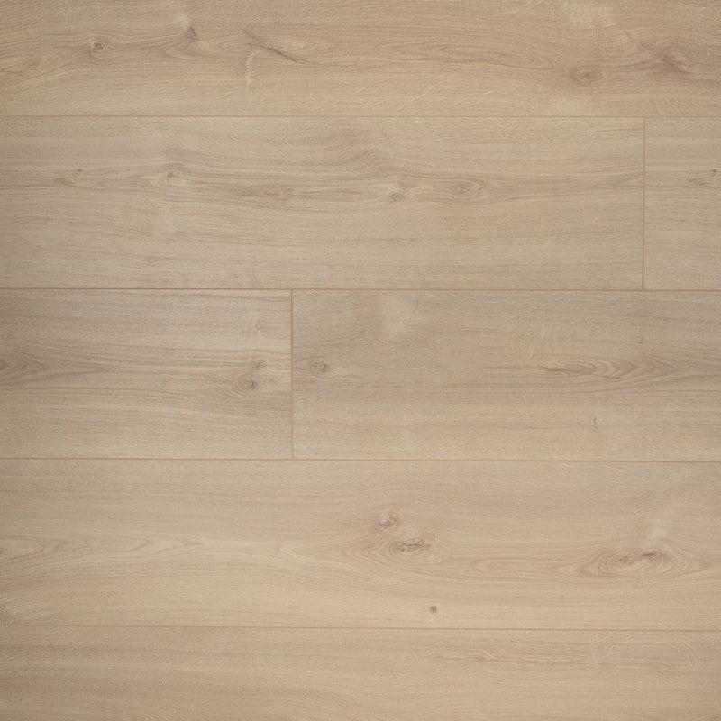 Laminaat extra lange plank jasmijn Douwes Dekker - Afbeelding 2