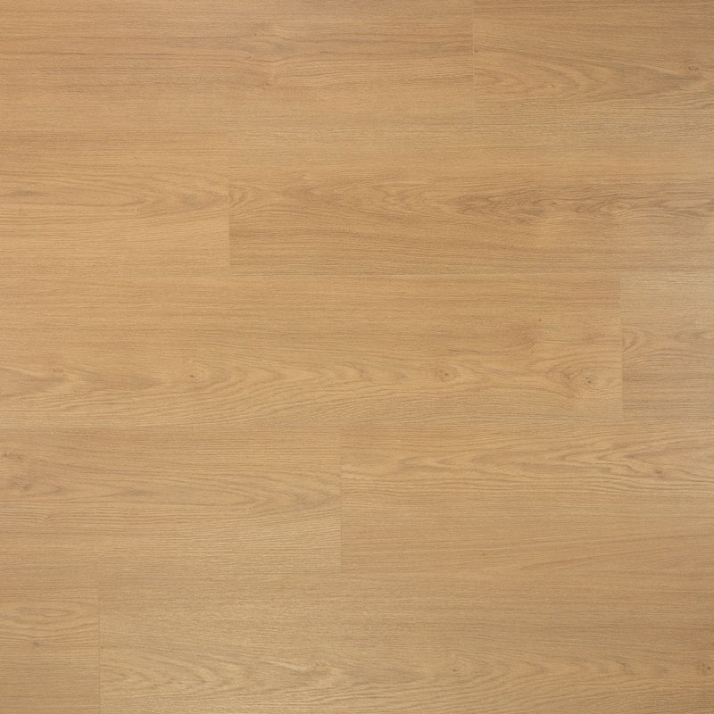 Laminaat extra lange plank kaviaar Douwes Dekker - Afbeelding 2
