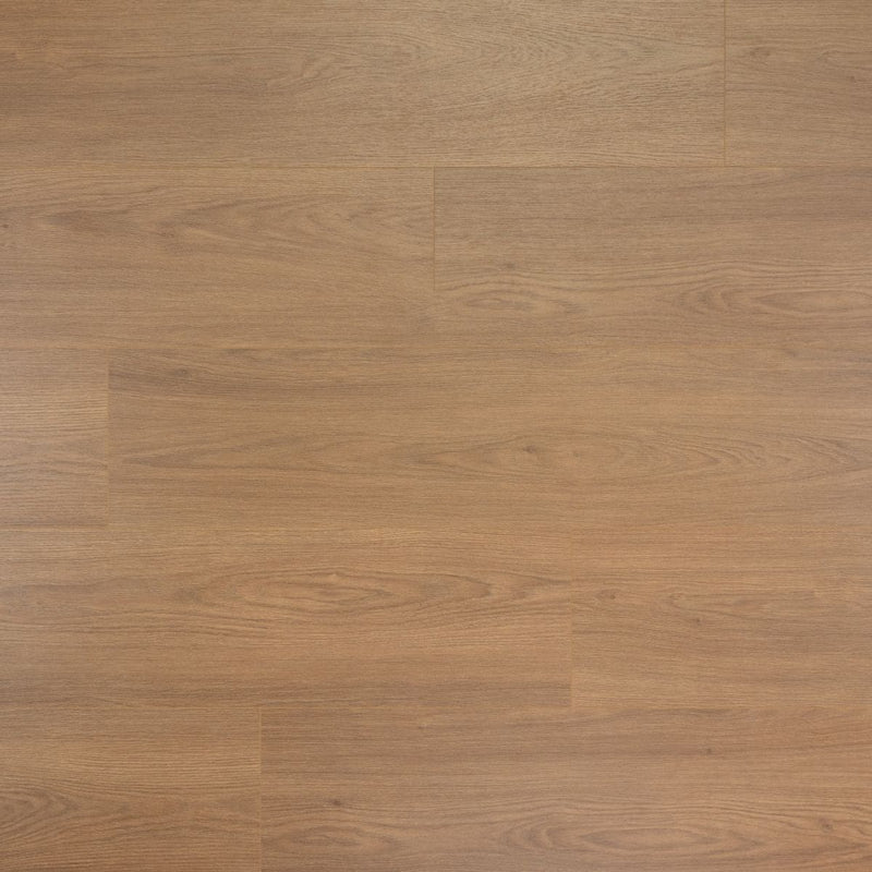 Laminaat extra lange plank olijf Douwes Dekker - Afbeelding 2
