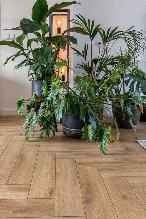 Floer Visgraat Laminaat - Bruin Eiken - Afbeelding 7