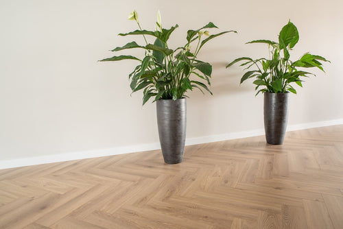 Floer Visgraat Laminaat - Natuur Eiken - Afbeelding 6