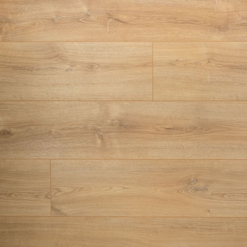 Laminaat Licht eiken Douwes Dekker Basilicum Rechte plank - Afbeelding 1