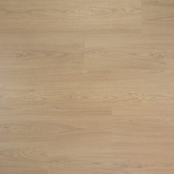 Laminaat extra lange plank truffel Douwes Dekker - Afbeelding 2
