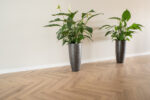 Floer Visgraat Laminaat - Natuur Eiken - Afbeelding 6